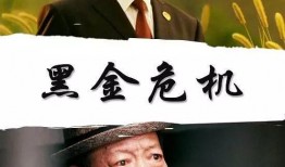 黑金在线观看影片,揭秘网络电影世界的璀璨瑰宝